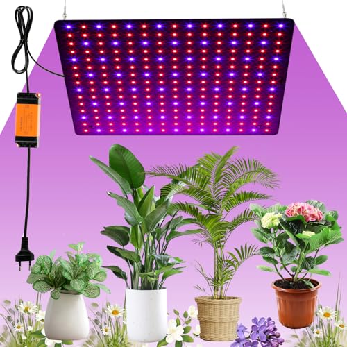 Pflanzenlampe LED Vollspektrum 225 LEDs 1000W Pflanzenleuchte Hängend mit 4 Aufhängehaken Pflanzenlicht Anzucht Wachstumslampe LED Grow Light für Pflanzen Gemüse Blume (rot+blau) von Toaboa