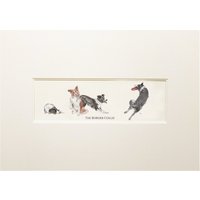 Border Collie Druck von ToadHallCompany