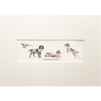 Springer Spaniel Druck von ToadHallCompany