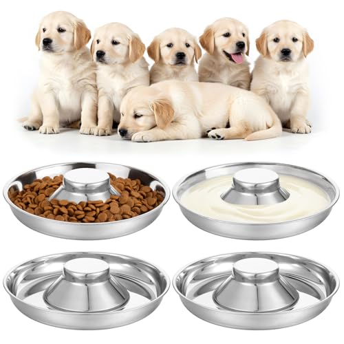 4 Stück Edelstahl-Welpen-Entwöhnungsschüssel, Katzennäpfe für Futter und Wasser, mehrere Welpen, Futterstation für kleine Hunde und Katzen, die gleichzeitig fressen von Tobeelec