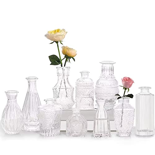 Mini Vasen Set, 10St Kleine Glasvase Vintage Deko Vasen Set Verschiedene Groessen Blumenvase für Tischdeko Mittelstücke, Hochzeitsdekorationen Transparent Mini Vasen Set, 10St Kleine Glasvase Vintage Deko Vasen Set Verschiedene Groessen Blumenvase für Tischdeko Mittelstücke, Hochzeitsdekorationen Transparent von Tobengda