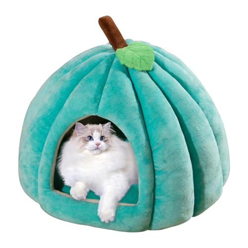 TocaFeank Halloween Katzenbett, Haustierhöhlenbett,Halloween Haustier Kätzchen Höhlenhaus Kürbisförmig | Heimtierbedarf, bequemes Haustierhöhlenbett für Zuhause, Tierhandlung TocaFeank Halloween Katzenbett, Haustierhöhlenbett,Halloween Haustier Kätzchen Höhlenhaus Kürbisförmig | Heimtierbedarf, bequemes Haustierhöhlenbett für Zuhause, Tierhandlung von TocaFeank