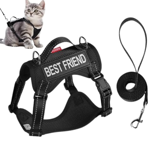 TocaFeank Katzengeschirr Set | Ausbruchssicheres Verstellbares Katzenwesten-Geschirr Mit Reflektierendem Streifen - Leichtes Sicherheitsgeschirr Als Trainingshalsband Für Kleine Mittelgroße Und Große TocaFeank Katzengeschirr Set | Ausbruchssicheres Verstellbares Katzenwesten-Geschirr Mit Reflektierendem Streifen - Leichtes Sicherheitsgeschirr Als Trainingshalsband Für Kleine Mittelgroße Und Große von TocaFeank