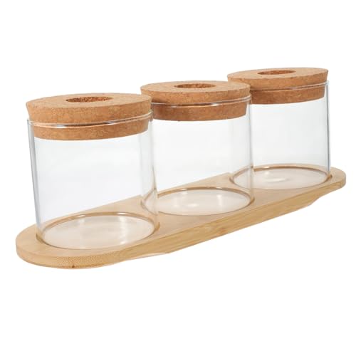 Toddmomy 1 Satz Pflanzen Terrarium mit Bambusständer Teiliges Glasvase für Pflanzenstecklinge und Praktisch von Toddmomy