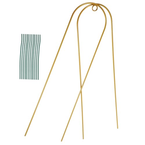 Toddmomy 1 Satz Stabiles Metallpflanzen Klettergerüst Förmige Rankhilfe für Innenpflanzen für Blütenranken und Gemüse Zufällige Grüne Kabelbinder Toddmomy 1 Satz Stabiles Metallpflanzen Klettergerüst Förmige Rankhilfe für Innenpflanzen für Blütenranken und Gemüse Zufällige Grüne Kabelbinder von Toddmomy