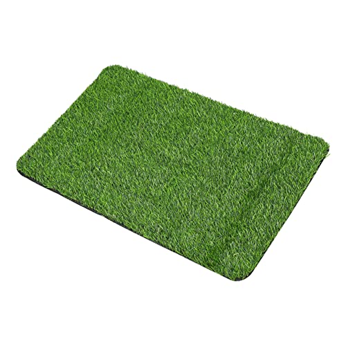 Toddmomy 1 Stück Künstliche Gras Fußmatte rutschfeste Badematte für Eingangsbereich Badezimmer und Innenräume Hochwertige Polypropylenfaser Saugfähig und Schmutzabweisend Toddmomy 1 Stück Künstliche Gras Fußmatte rutschfeste Badematte für Eingangsbereich Badezimmer und Innenräume Hochwertige Polypropylenfaser Saugfähig und Schmutzabweisend von Toddmomy