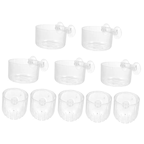Toddmomy 10 Stück Teiliges Acryl Aquarium Pflanzenhalter mit Saugnäpfen und Löchern Transparente Wasserpflanzen Töpfe für Süß und Einfache Installation Langlebig Geeignet für Fischbecken von Toddmomy