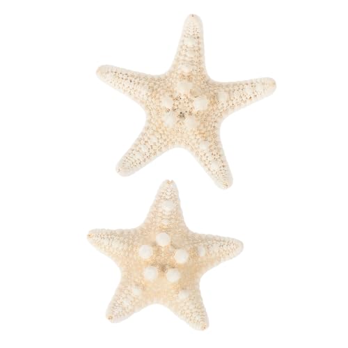Toddmomy 2 Stück Teiliges Natürliches Seestern deko Ingwerfarbe Strapazierfähige DIY Accessoires für Aquarium Vasenfüllung Leichter Schmuckhalter und Charme für Kreative Aquariendekoration Toddmomy 2 Stück Teiliges Natürliches Seestern deko Ingwerfarbe Strapazierfähige DIY Accessoires für Aquarium Vasenfüllung Leichter Schmuckhalter und Charme für Kreative Aquariendekoration von Toddmomy