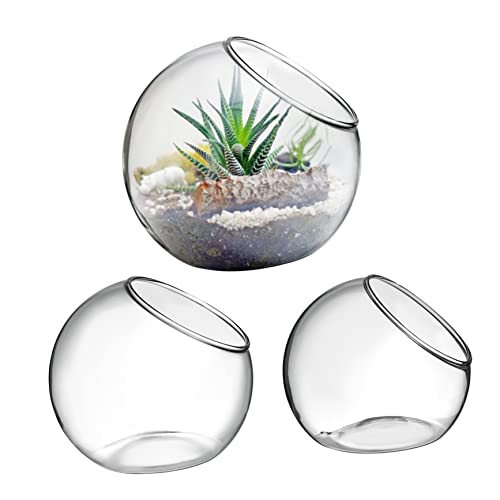 Toddmomy 3 Stück Terrarium Pflanzgefäße Dekorative Luftpflanzen Vasen für Schreibtisch Zuhause Geeignet für Sukkulenten Bromelien und Stilvolle Glasbehälter mit Runder Öffnung von Toddmomy
