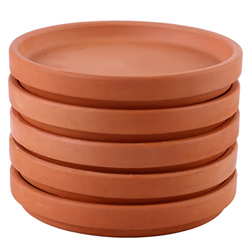 Toddmomy 5 Stück Terrakotta Blumentopf Untersetzer Robuste wasserdichte Pflanztopfplatten für und Außen zum Schutz Ihrer Böden und Einfachem Transport von Pflanzen von Toddmomy