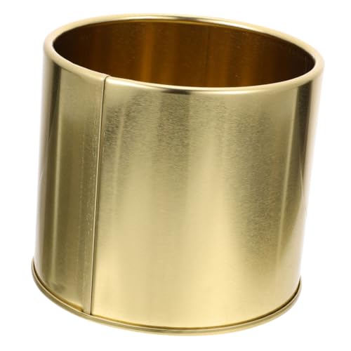 Toddmomy Blumentöpfe Metall-blumentopf Für Modernes Design Für Die Dekoration Im Home Office von Toddmomy