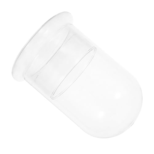 Toddmomy Glas Terrarium Vase Höhe Transparentes Ökosystem DIY Pflanzflasche für Mikrolandschaft Platzsparend Kreativ für Schreibtisch und Innenraum Begrünung von Toddmomy