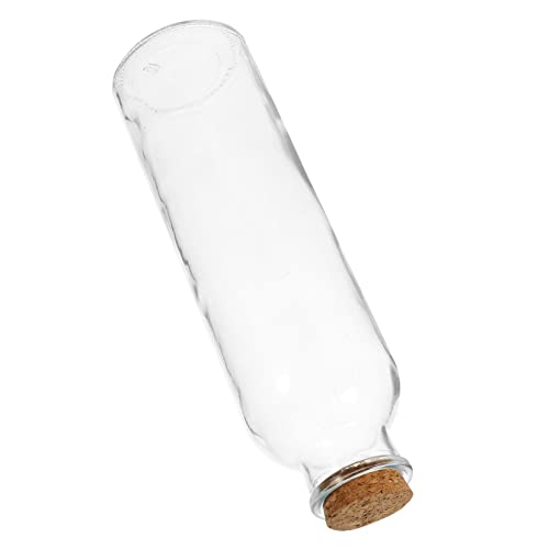 Toddmomy Glasvase Terrarienglas Pflanzenterrarium Hydroponik -Tischglasflasche Gläser Flaschen Mini Flaschenbehälter Glasflaschendekoration Querformat Glasflasche Gla -Terrarium Transparent von Toddmomy