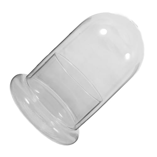 Toddmomy Großes Glasflaschen Terrarium Landschaft Pflanzenbehälter Klarem Langlebiger Ökologischer Pflanzgefäß für Tischdekoration Büro Garten DIY Flaschengarten von Toddmomy