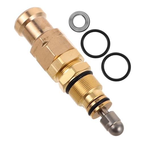 Toddmomy High Machine Zubehör Waschpumpe Ersatzventil Waschpumpe Druckventil Hochdruckwaschpumpe Waschpumpenregler Messingwaschventil Goldenes Kupfer von Toddmomy