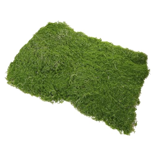 Toddmomy Künstlicher für DIY Dekoration Lebensnahe Nachahmung von Moos und Gras für Miniaturgärten Sandtisch und Leicht zu Installieren Toddmomy Künstlicher für DIY Dekoration Lebensnahe Nachahmung von Moos und Gras für Miniaturgärten Sandtisch und Leicht zu Installieren von Toddmomy
