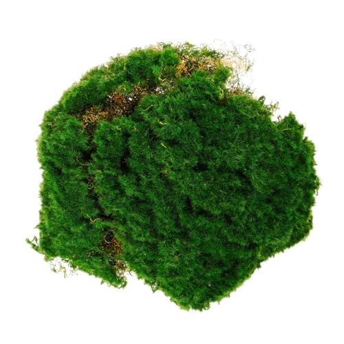 Toddmomy Künstliches Moos Pad Dekoratives Kunstmoos für Garten Bastelprojekte für Wandschmuck und Terrarien Dekoration Toddmomy Künstliches Moos Pad Dekoratives Kunstmoos für Garten Bastelprojekte für Wandschmuck und Terrarien Dekoration von Toddmomy