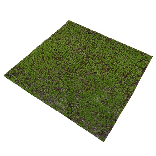 Toddmomy Künstliches Moos Teppich Dekorative Fake Gras Matte für Mini Bonsai und Aquarien Langlebige Landschaftsdekoration für Frische Ihrem Zuhause Toddmomy Künstliches Moos Teppich Dekorative Fake Gras Matte für Mini Bonsai und Aquarien Langlebige Landschaftsdekoration für Frische Ihrem Zuhause von Toddmomy