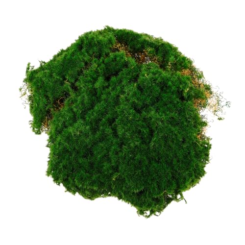 Toddmomy Künstliches Moos Teppich Dekorative Landschaftsaccessoire für Terrarien und Bastelprojekte für Heimdekoration und Kreative Designs Toddmomy Künstliches Moos Teppich Dekorative Landschaftsaccessoire für Terrarien und Bastelprojekte für Heimdekoration und Kreative Designs von Toddmomy
