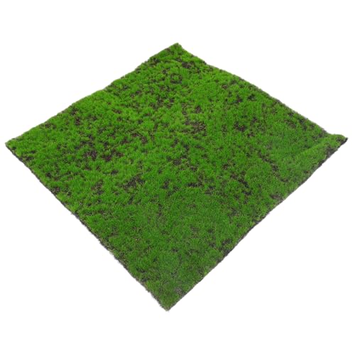 Toddmomy Kunstrasen Rasenmatte Realistische Gefälschte Grasmatte für Innen und Außendekoration Wartungsfrei Vielseitig Einsetzbar im für DIY Projekte Toddmomy Kunstrasen Rasenmatte Realistische Gefälschte Grasmatte für Innen und Außendekoration Wartungsfrei Vielseitig Einsetzbar im für DIY Projekte von Toddmomy