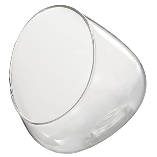 Toddmomy Ökologische Glasflasche Terrarium Vielseitiger Micro Landschaftsbehälter für Moospflanzen Dekoratives Pflanzgefäß für und DIY Geschenke Toddmomy Ökologische Glasflasche Terrarium Vielseitiger Micro Landschaftsbehälter für Moospflanzen Dekoratives Pflanzgefäß für und DIY Geschenke von Toddmomy