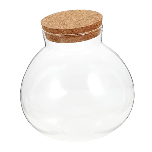 Toddmomy Ökologische Mikrolandschaftsflasche rundes Terrarienglas saftiges Terrarium Terrarium-Displayglas Glasflasche Knospenvase Versiegelter Glasbehälter saftiges Glas Kork Transparent von Toddmomy