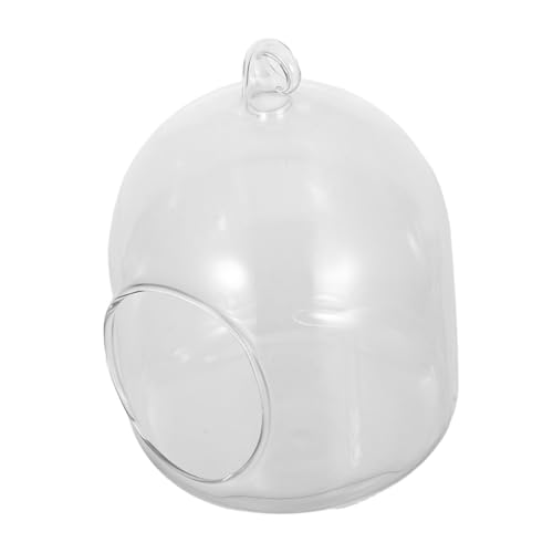 Toddmomy Flaschen Terrarium Modernes Glasterrarium Für Sukkulenten Moos Und Kleine Pflanzen Pflegeleichter Blumentopf Für Schreibtisch Und Home Decor Tragbar Und Platzsparend von Toddmomy