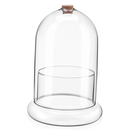 Toddmomy Terrarium mit Klarglas für Landschaften Vase mit Luftloch für Moosarrangements für Zuhause oder Bürodeko Einzigartiges von Toddmomy