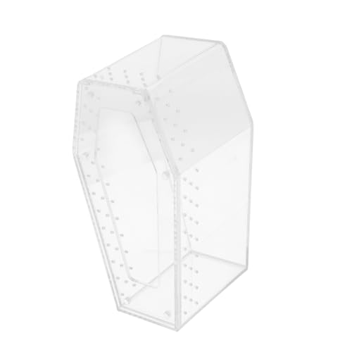 Toddmomy Transparente Box Für Spinnentiere Und Geckos Aufbewahrungsbox Krabbeltierbox Als Reptilien-inkubator Echsenbecken Und Schildkrötenzuchtbecken Transportbox Für Klettertiere Toddmomy Transparente Box Für Spinnentiere Und Geckos Aufbewahrungsbox Krabbeltierbox Als Reptilien-inkubator Echsenbecken Und Schildkrötenzuchtbecken Transportbox Für Klettertiere von Toddmomy