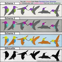 Kolibri Wandaufkleber Set - Wieder Ablösbare Vinylaufkleber Kolibri Wandaufkleber Set - Wieder Ablösbare Vinylaufkleber von Todeco
