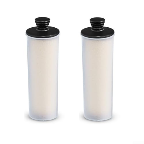 Dampfreiniger Entkalkung, Reinigungsfilterstange für Kärcher SC3 SC2, Ersatz kompatibel mit SC2 Premium SC3 aufrechten Modellen (2 Stück) von Todikaper