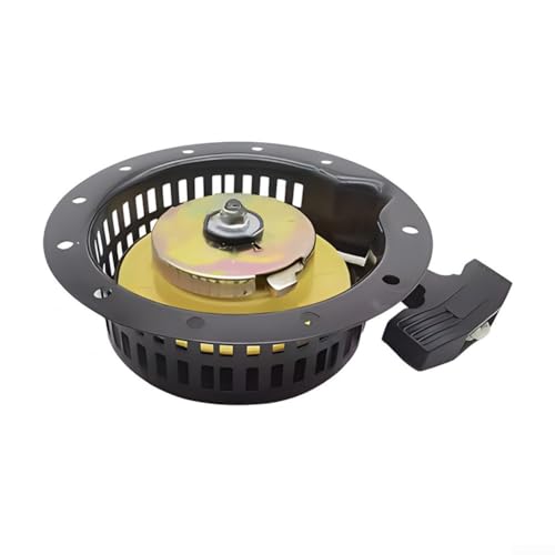 Großer Kern Rotavator Zugplatte Starter Montage Kit Kompatibel mit 170F 173F 170 Modellen Diesel Pinne Teile Landwirtschaftliche Maschine Ersatz Schwarz (Big Core-Reverse) von Todikaper