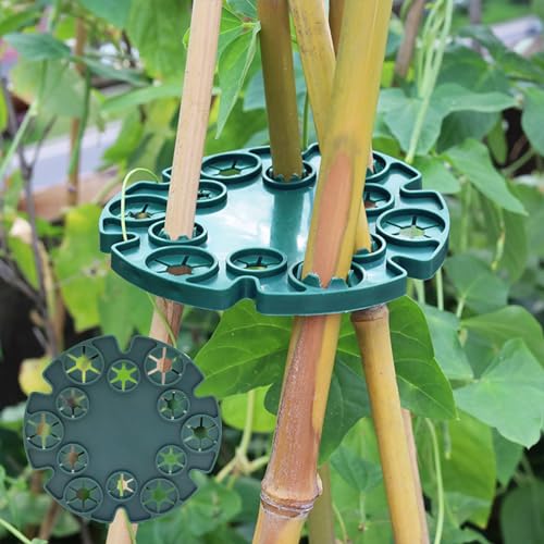 30 Stück Garten Pflanzenhalter Verbinder Bambus-Stock-Halter Kunststoff-Pflanzenstütze-Schutzschale Stützkappen für Kletterpflanzen Erbsen Bohnen von ToeWoe