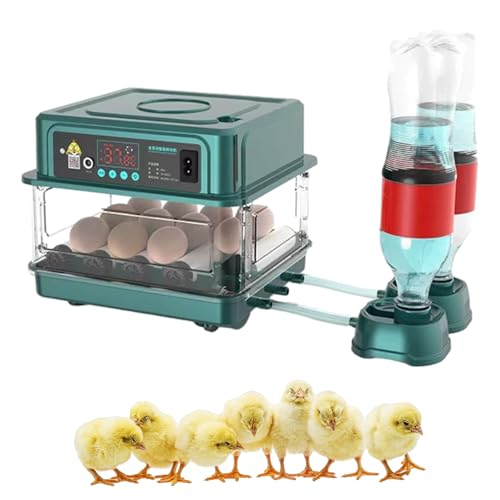 Brutautomat Vollautomatisch, 2024 Brutmaschine Vollautomatisch Inkubator Hühner, Brutkasten Hühner mit Automatischem Eierdrehen und Automatischer Wasserzugabe für Zucht von Hühnern (10 Eier) von Toerjii