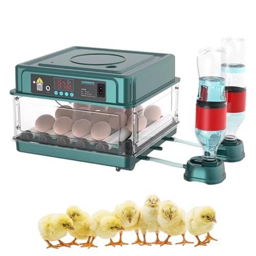 Brutautomat Vollautomatisch, 2024 Brutmaschine Vollautomatisch Inkubator Hühner, Brutkasten Hühner mit Automatischem Eierdrehen und Automatischer Wasserzugabe für Zucht von Hühnern (15 Eier) von Toerjii