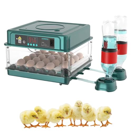 Brutautomat Vollautomatisch, 2024 Brutmaschine Vollautomatisch Inkubator Hühner, Brutkasten Hühner mit Automatischem Eierdrehen und Automatischer Wasserzugabe für Zucht von Hühnern (24 Eier) von Toerjii