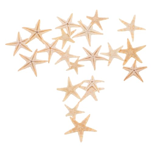 Tofficu 20stücke Mini Seestern Dekoration Für -projekte Natürliche Seesterne Für Aromatherapie-Kerzen Und Strand-Themen Hochwertige Epoxidharz Accessoires Für Hochzeiten Und Partys Tofficu 20stücke Mini Seestern Dekoration Für -projekte Natürliche Seesterne Für Aromatherapie-Kerzen Und Strand-Themen Hochwertige Epoxidharz Accessoires Für Hochzeiten Und Partys von Tofficu