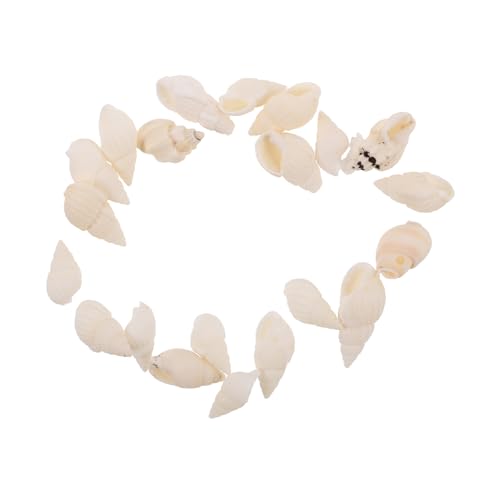 Tofficu 20 Stück Kerzen Tropfende Dekoration Bastelbedarf Für Muscheln Strandmuschelperlen Muscheln Selber Basteln Mini-Muschel-Ornamente DIY Muschelornamente Weißer Reisschnecken Tofficu 20 Stück Kerzen Tropfende Dekoration Bastelbedarf Für Muscheln Strandmuschelperlen Muscheln Selber Basteln Mini-Muschel-Ornamente DIY Muschelornamente Weißer Reisschnecken von Tofficu