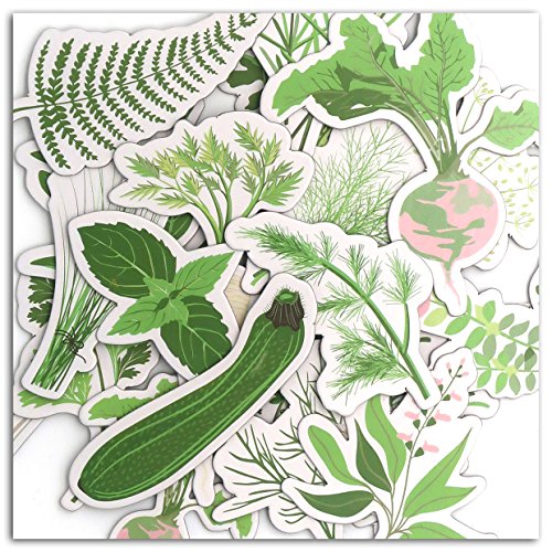 DRAEGER PARIS 1886 Toga Oh My Green 20 Stück Formen Chipboards, Karton, grün, 7 x 7 x 0,3 cm DRAEGER PARIS 1886 Toga Oh My Green 20 Stück Formen Chipboards, Karton, grün, 7 x 7 x 0,3 cm von Toga