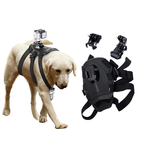 Hundegeschirr Gopro Halter, Weich Und Verstellbar Hundegeschirr Gopro Für Große, Mittlere Und Kleine Hunde Kann Zur Brust- Und Rückenfixierung Verwendet Werden, Geeignet Für Gopro10/9/8/7/6/5 Hundegeschirr Gopro Halter, Weich Und Verstellbar Hundegeschirr Gopro Für Große, Mittlere Und Kleine Hunde Kann Zur Brust- Und Rückenfixierung Verwendet Werden, Geeignet Für Gopro10/9/8/7/6/5 von NMD&LR