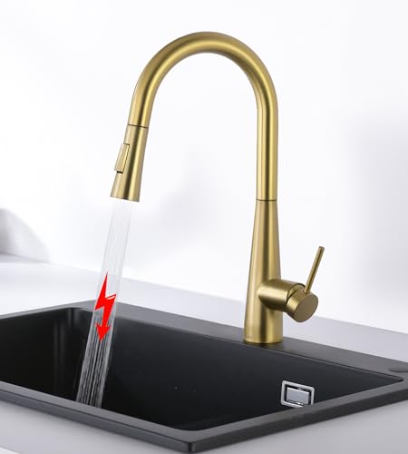 Tohlar Niederdruck Armatur Küche Gold, Küchearmatur mit Ausziehbare Brause, Niederdruck Wasserhahn Küche 360° Drehbar Küchenarmatur aus Edelstahl Moderner Niederdruck Spültischbatterie von Tohlar