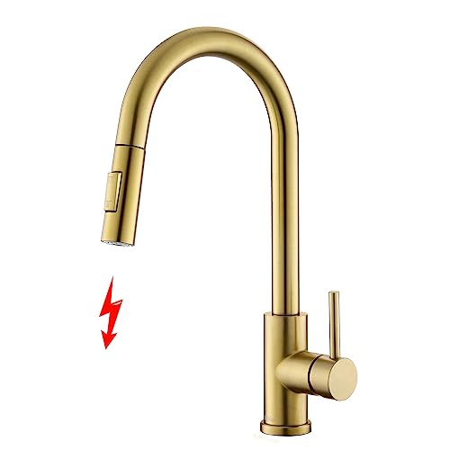 Tohlar Niederdruck Armatur Küche Gold, Niederdruck Wasserhahn Küche mit Ausziehbare Brause, Mischbatterien für Küche Moderner Edelstahl Spültischarmatur von Tohlar