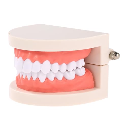 Zahnmodell,Zahnpflege Modell,Demonstrationszahnmodell,Erwachsene Simulation Zähne Modell Display,Zähne Dental Demonstrationsmodell,Standard Dental Study Modell,Standardmodell Typodont Tokaneit Zahnmodell,Zahnpflege Modell,Demonstrationszahnmodell,Erwachsene Simulation Zähne Modell Display,Zähne Dental Demonstrationsmodell,Standard Dental Study Modell,Standardmodell Typodont Tokaneit von Tokaneit
