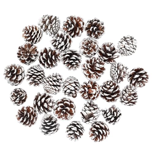 Tannenzapfen, 30pcs Weihnachten Tannenzapfen,2-3cm Natürliche Mini Tannenzapfen mit Weißer Anstrich, Natur Kiefernzapfen Deko für Weihnachtsdeko Weihnachtsbaum Herbst Winter Dekoration von Tolenre