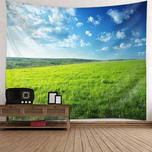 Tolldek Wandteppich Blau Grün 200 x 200 cm, Landschaft Natur Wandteppiche Grasland Wandbehang Wandbehänge für Tischdecke Schlafzimmer Decor Tolldek Wandteppich Blau Grün 200 x 200 cm, Landschaft Natur Wandteppiche Grasland Wandbehang Wandbehänge für Tischdecke Schlafzimmer Decor von Tolldek