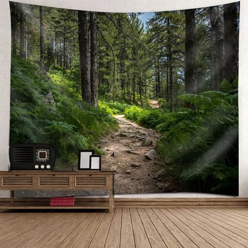 Tolldek Wandteppich Landschaft Natur 240 x 220 cm, Baum Pfad Wandtuch Grau Braun Grün Wandteppiche Tapestry für Wohnzimmer Schlafzimmer Wohnheim Wanddeko Tolldek Wandteppich Landschaft Natur 240 x 220 cm, Baum Pfad Wandtuch Grau Braun Grün Wandteppiche Tapestry für Wohnzimmer Schlafzimmer Wohnheim Wanddeko von Tolldek