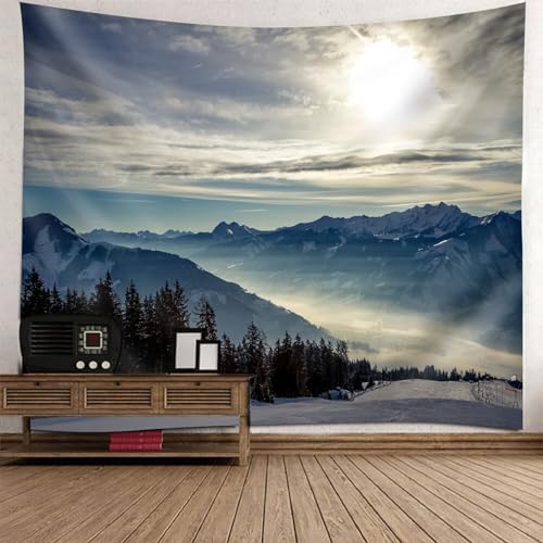 Tolldek Wandteppich Landschaft Natur 350 x 256 cm, Schneeberg Tapisserie Wandbehang Grau Wandteppiche Hausdekor Dekoration für Wohnung Tolldek Wandteppich Landschaft Natur 350 x 256 cm, Schneeberg Tapisserie Wandbehang Grau Wandteppiche Hausdekor Dekoration für Wohnung von Tolldek