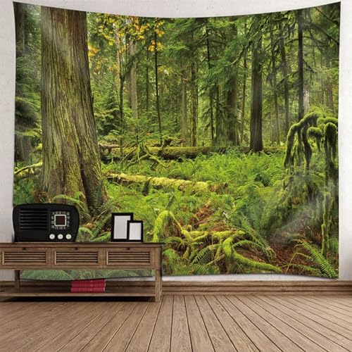 Tolldek Wandteppich Natur Landschaft 150 x 150 cm, Baum Dschungel Wandtuch Grün Wandbehang Tapestry für Tischdecke Wohnzimmer Decor Tolldek Wandteppich Natur Landschaft 150 x 150 cm, Baum Dschungel Wandtuch Grün Wandbehang Tapestry für Tischdecke Wohnzimmer Decor von Tolldek