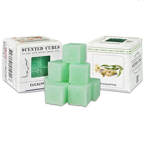 Duftwachs Aroma Würfel mit Keramik-Verdunster | Palmöl | Scented Cubes | 3x8 Duftwürfel Pack (24 Miniwürfel) in verschiedenen Düften | Duftkerze | Duft Würfel für Teelicht (Eukalyptus) von Tolle Idee