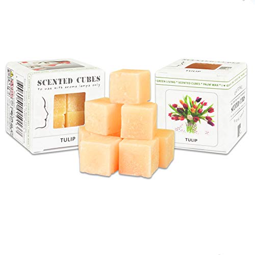 Duftwachs Aroma Würfel mit Keramik-Verdunster | Palmöl | Scented Cubes | 3x8 Duftwürfel Pack (24 Miniwürfel) in verschiedenen Düften | Duftkerze | Duft Würfel für Teelicht (Tulpe) von Tolle Idee